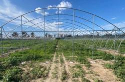 赤峰大棚骨架實體廠家電話號碼