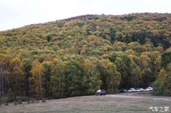 赤峰樹(shù)林服裝廠電話地址查詢