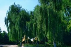 內(nèi)蒙古赤峰吉泰物業(yè)電話號(hào)碼