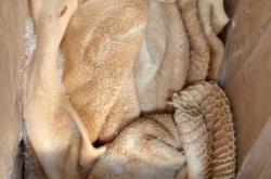 赤峰半成品供應(yīng)商電話號(hào)碼