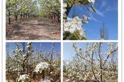 內(nèi)蒙赤峰寧城社保局電話號(hào)碼