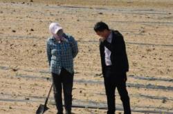 三豐種業(yè)赤峰代理電話號(hào)碼