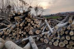 赤峰楊木凈片加工廠電話號(hào)碼