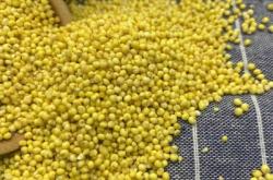 赤峰大黃米廠家地址電話號碼