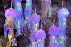 赤峰水母擺攤電話多少號(hào)碼啊