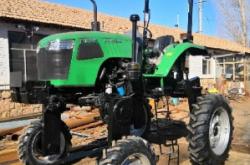 內(nèi)蒙赤峰種植大蔥基地電話號碼