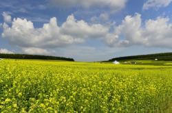 赤峰寧城土產(chǎn)公司電話多少號(hào)