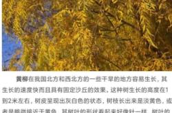 赤峰求購苗木市場電話多少號