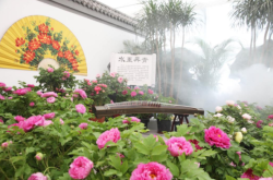 赤峰元寶山公交時間