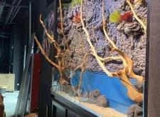 赤峰市區(qū)魚缸定制店電話號(hào)碼