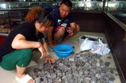 赤峰大板古玩城地址電話號(hào)碼