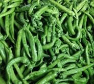 赤峰尖椒銷售電話是多少號