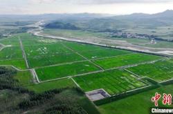 赤峰河道防護網安裝電話號碼