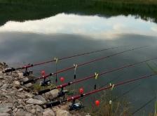 赤峰紅廟垂釣園電話號碼查詢