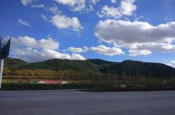 赤峰駕照領(lǐng)取地點(diǎn)電話查詢號(hào)碼