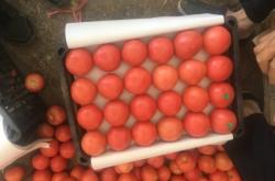 赤峰冰皮粉批發(fā)廠家電話號(hào)碼