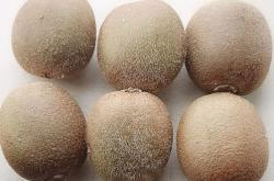 赤峰膨大劑廠商電話號(hào)碼查詢