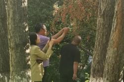 赤峰城區(qū)園林綠化局電話號(hào)碼