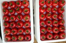 赤峰番茄服務(wù)餐飲部電話號(hào)碼