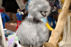 赤峰有趣雜貨鋪地址電話號碼