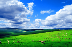 赤峰海蘇溝村委會電話號碼