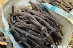 赤峰魚竿批發(fā)市場電話號碼