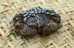 赤峰水產(chǎn)團購電話號碼查詢