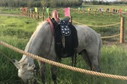 赤峰旗禹德堂電話號碼查詢