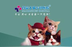 赤峰網(wǎng)紅寵物醫(yī)院電話號(hào)碼