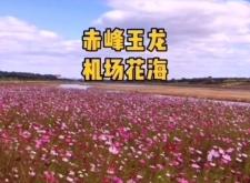 赤峰新機(jī)場(chǎng)酒店推薦電話是多少