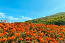 赤峰達(dá)行汽修廠電話號(hào)碼