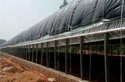 赤峰養(yǎng)雞大棚廠商電話號(hào)碼查詢