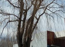 赤峰紅旗商場二樓電話號(hào)碼