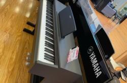 赤峰鋼琴專賣店