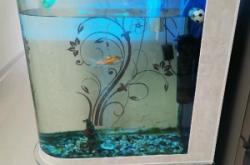 赤峰二手魚缸回收電話號(hào)碼