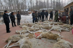 赤峰橋頭檢測(cè)站電話多少號(hào)