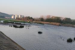 內(nèi)蒙古赤峰轉(zhuǎn)學(xué)中介電話號(hào)碼