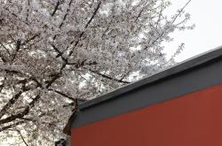 赤峰櫻花街道電話號碼查詢