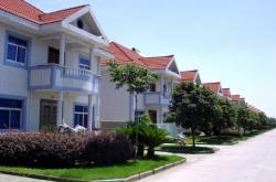 赤峰西橋鎮(zhèn)賣花店電話號(hào)碼