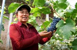 赤峰山邊土菜館電話號碼多少
