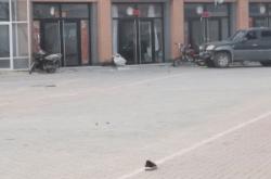 赤峰乃林農(nóng)家院電話號(hào)碼