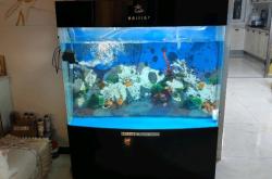 赤峰免費送魚缸電話是多少號