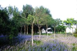 赤峰新城區(qū)興安社區(qū)電話號碼