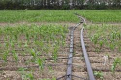 赤峰滴灌帶廠家電話地址查詢