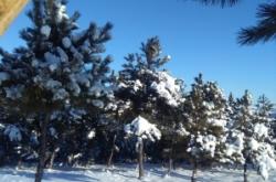 赤峰寧城集裝箱廠電話號碼