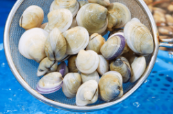 赤峰海鮮鮑魚專賣店電話號(hào)碼