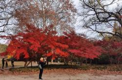 赤峰楓北動(dòng)物園電話號(hào)碼
