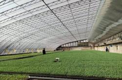 赤峰新希望賣房電話多少號