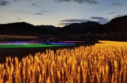 赤峰電音部落工作室電話號碼