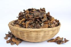 赤峰周邊揀蘑菇廠家電話號碼